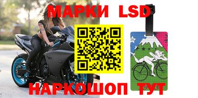 прущие грибы Братск