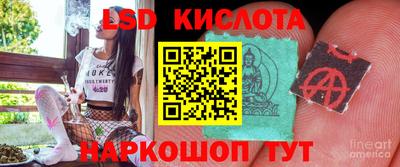 прущие грибы Братск