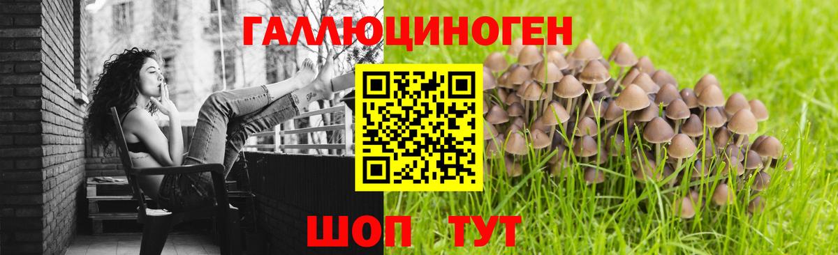 Галлюциногенные грибы Psilocybe Видное